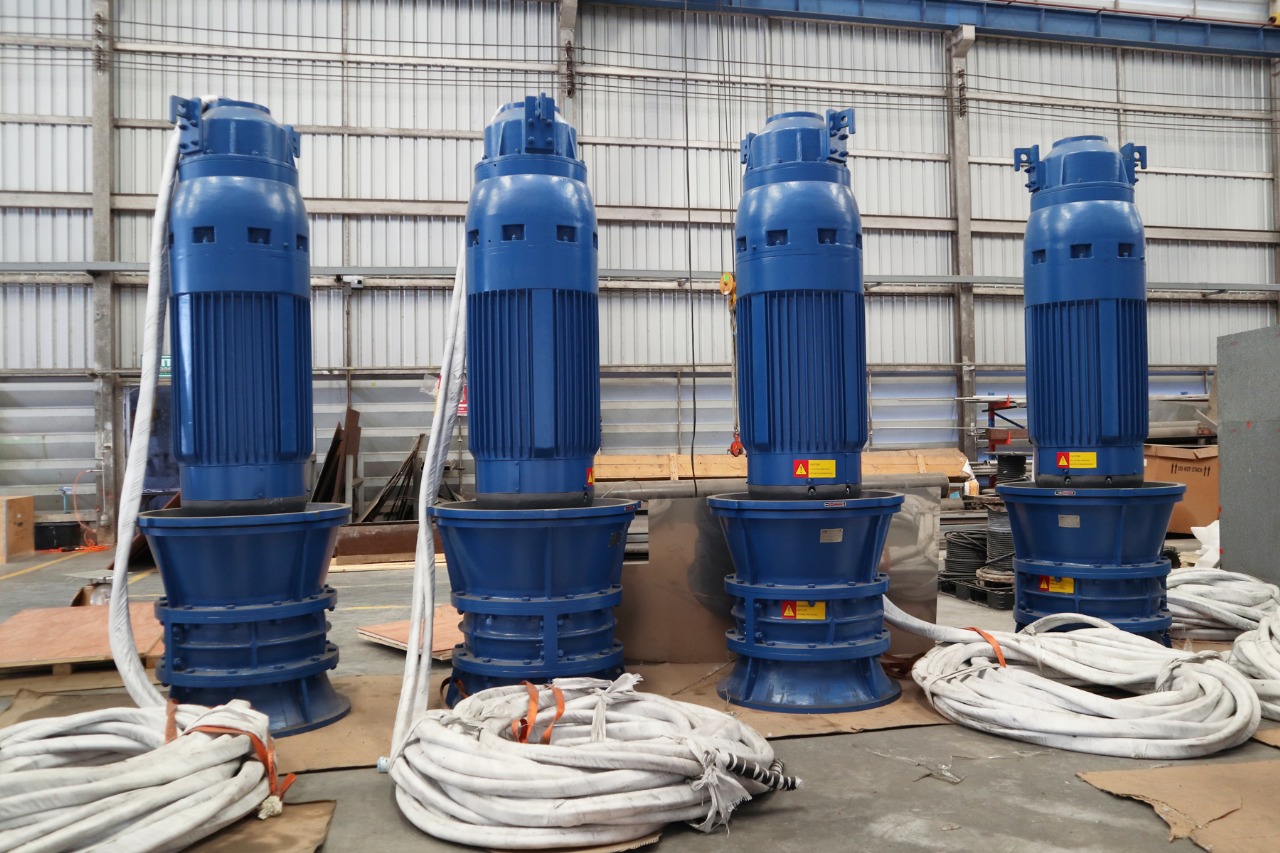 Maintenance of Submersible and Horizontal Pumps for Elswedy Industria East